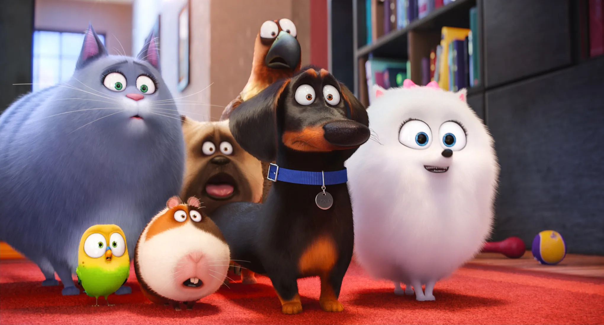 Secret Life of Pets 2 - Kevo